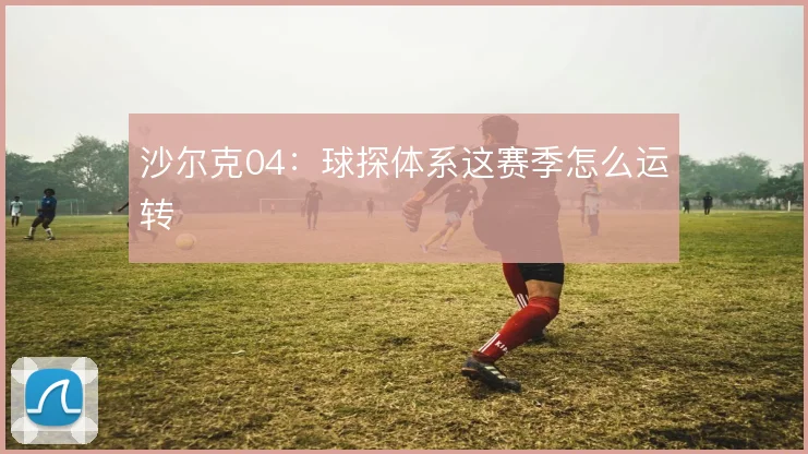 沙尔克04：球探体系这赛季怎么运转