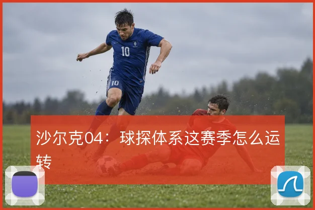 沙尔克04：球探体系这赛季怎么运转